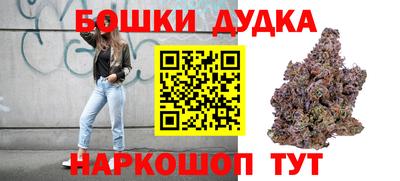 apvp Бийск