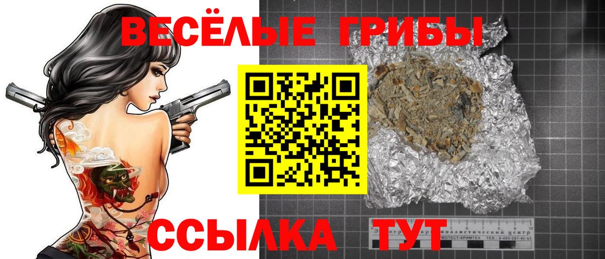 Галлюциногенные грибы Psilocybe Егорьевск