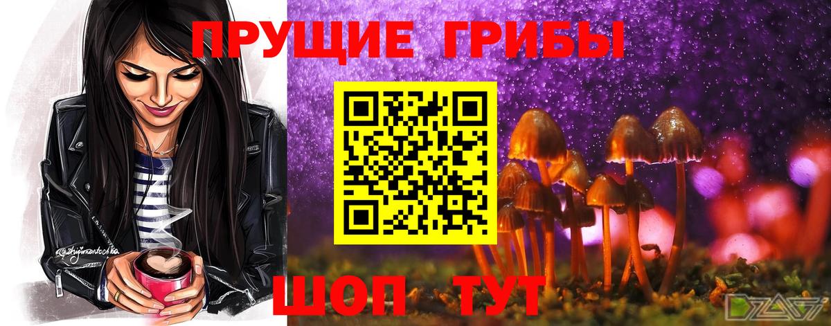 Егорьевск  Галлюциногенные грибы ЛСД  Вход с VPN 