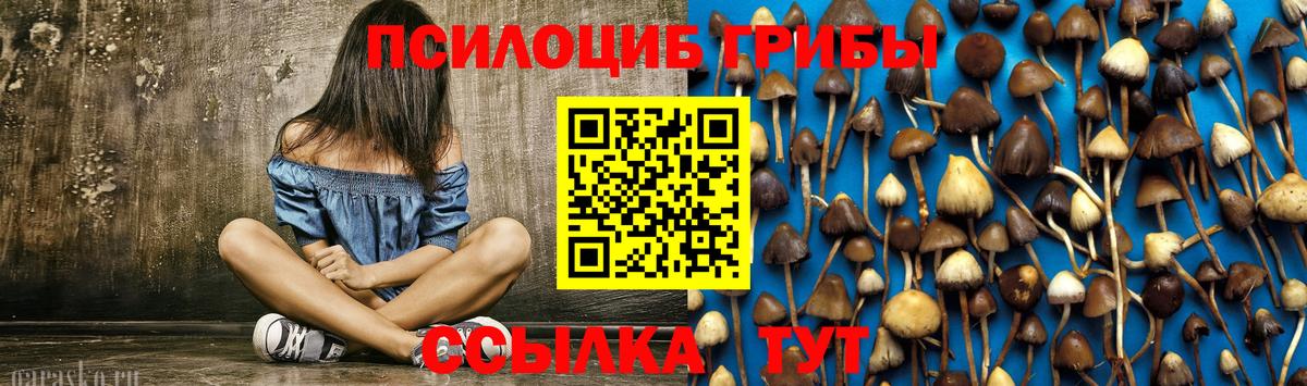 МЕФ Егорьевск